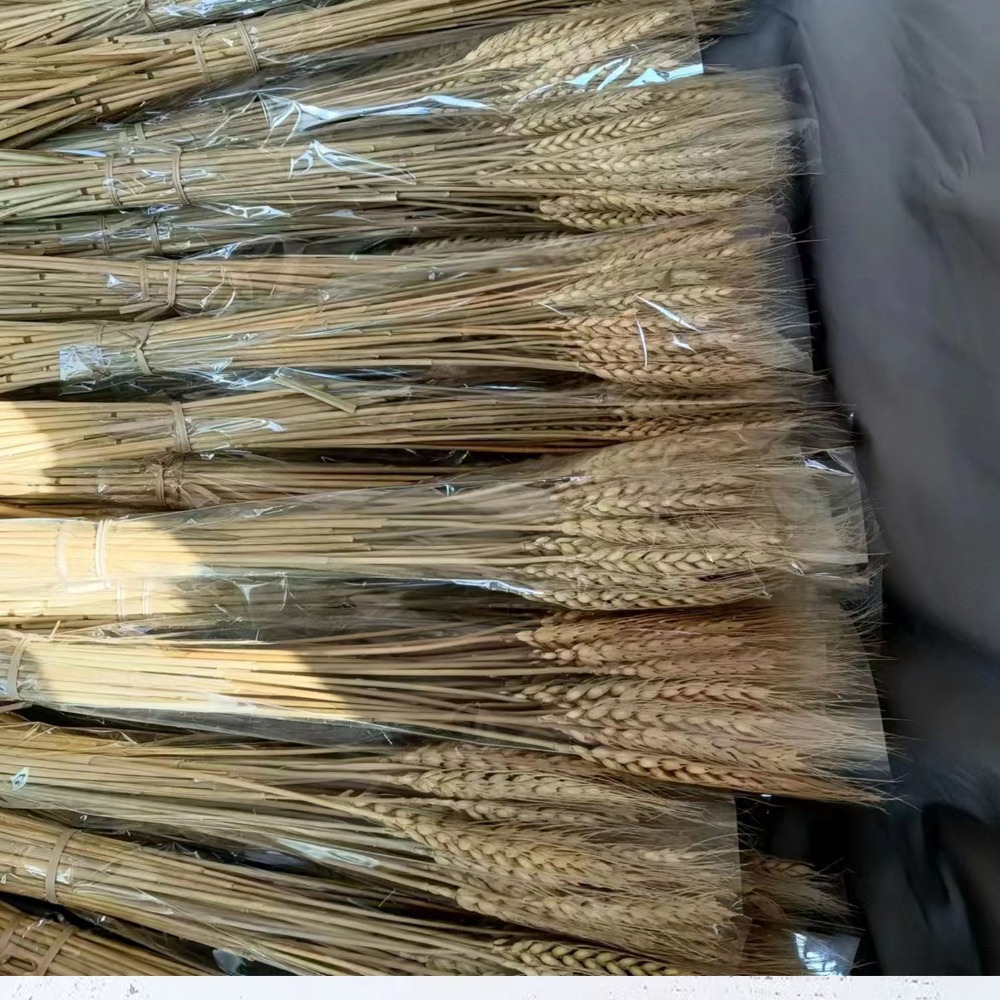 Wedding Ceremony Supply - 50pcs Artificial Flower Natural Dried Wheat