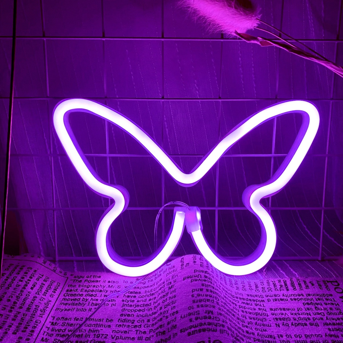 Wedding Power Supply - LED butterfly neon lights, USB or