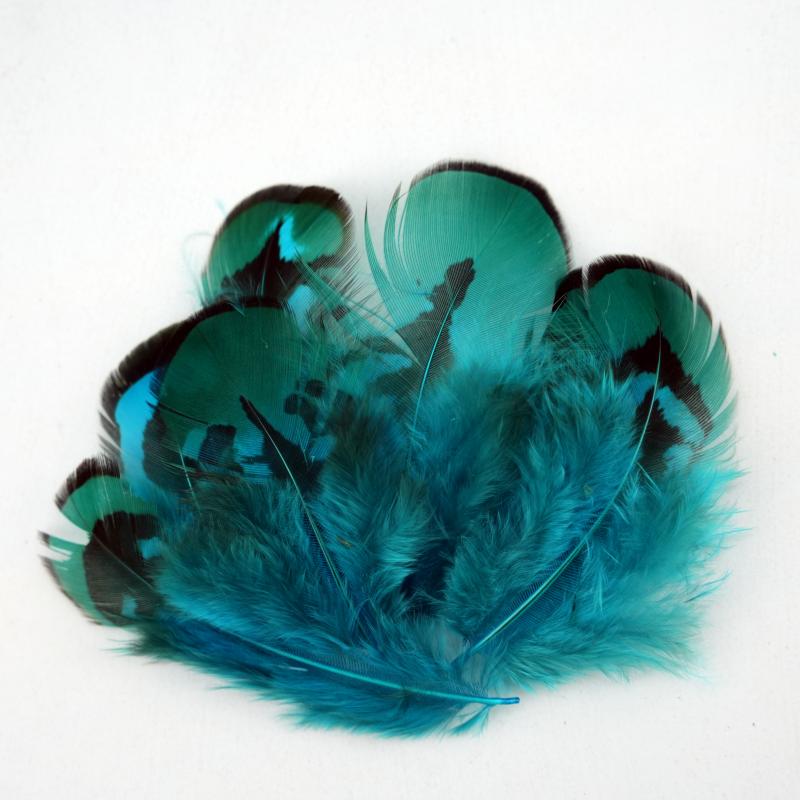 Natural DIY Pheasant Feathers  - Wedding Supply In Bulk recension och pris